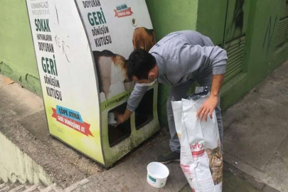 Osmangazi’de sahipsiz hayvanlar besleniyor
