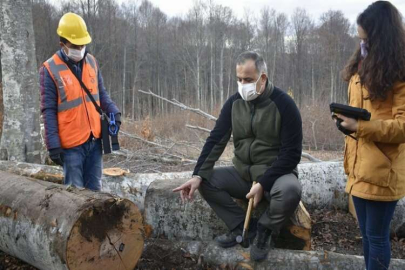 Ormanda ‘barkod’ sistemi