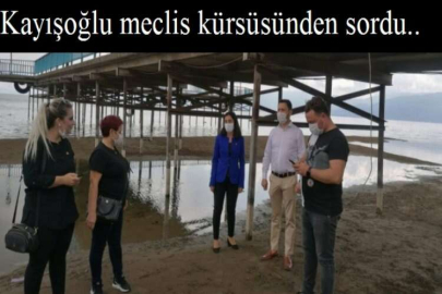 İznik gölü can çekişiyor,kurtarmak için planınız varmı?