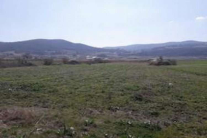 Ayvalık’ta 27.710 m2 fıstıklık icradan satılıktır