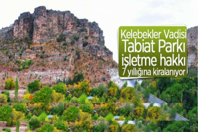 Kelebekler Vadisi Tabiat Parkı işletme hakkı 7 yıl süreyle kiraya verilecek