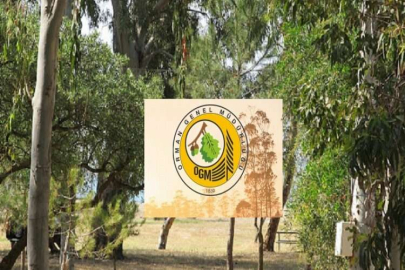 Menderes Gümüldür’de C tipi mesire alanı 10 yıllığına kiraya verilecek