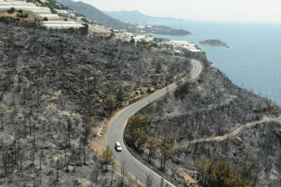 Sahil kesimi siyaha büründü! Yanan bölgeler drone ile havadan görüntülendi
