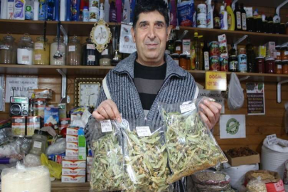 Gribe kalkan ıhlamurun kilosu 400 lira