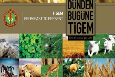 Hibrit Mısır Tohumluğunun ortak üretimini ihale usulü ile kiraya verecektir