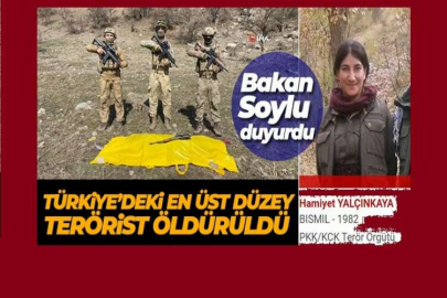 Kırmızı kategorideki terörist etkisiz hale getirildi