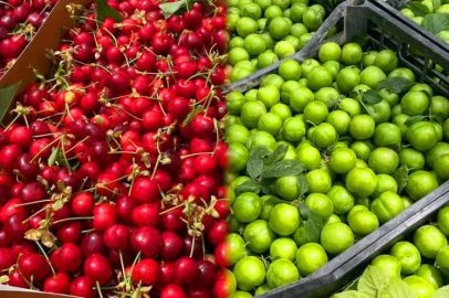Bursa’nın meşhur erik ve kirazı halde yerini aldı