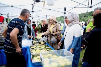 Bursa'da enginar cennetinde renkli festival!