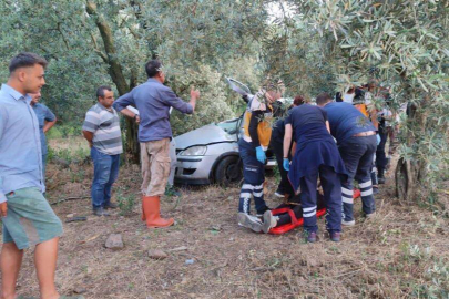 Bursa'da otomobil zeytinliğe daldı: 1 ölü, 1 yaralı
