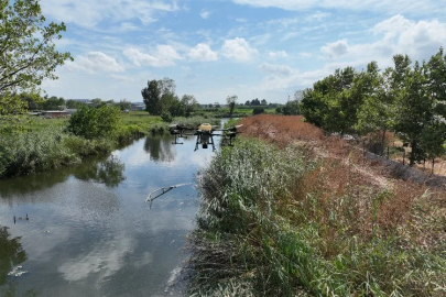 Bursa'da drone ile sinek avı