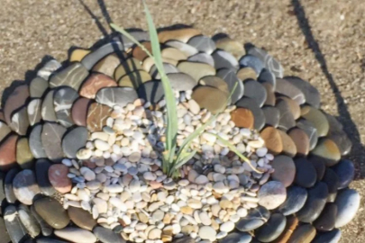 Kum zambağı koparmanın cezası 244 bin 315 TL