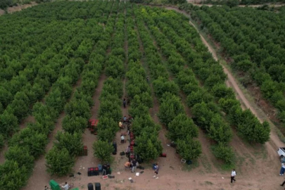 Coca-Cola Türkiye’den Bursa’da su geri kazanım projesi