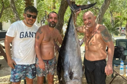 Oltaya 160 kiloluk orkinos takıldı