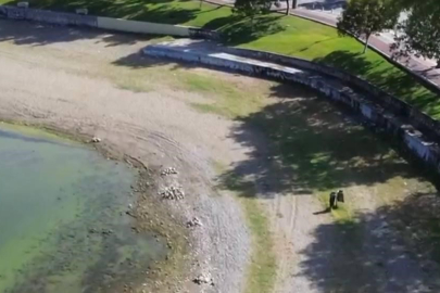 İznik Gölü’nde tehlikeli görüntü