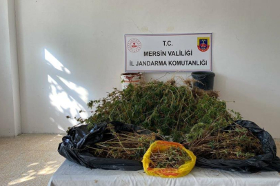 Mersin'de uyuşturucu operasyonu: 2 gözaltı