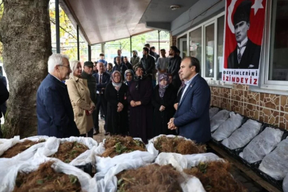 Nilüfer Belediyesi’nin desteğiyle çilek üretimi artıyor
