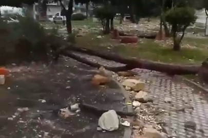Bursa'da etkili olan lodos ve fırtına ortalığı birbirine kattı