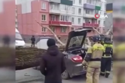 Hareket halindeki aracın üzerine ağaç devrildi: 2 ölü