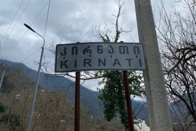 Türkiye-Gürcistan sınırında firari inek alarmı