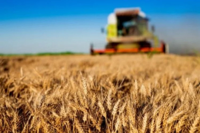 Tarım-ÜFE yıllık yüzde 58,29 arttı