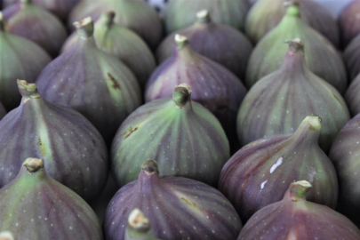 Bursa’nın ‘Kraliçe inciri’ Japonya’ya gidiyor