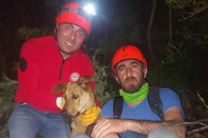 Uludağ'da mahsur kalan köpeğe kurtarma operasyonu