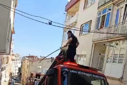 Bursa'da itfaiyenin kuş kurtarma operasyonu