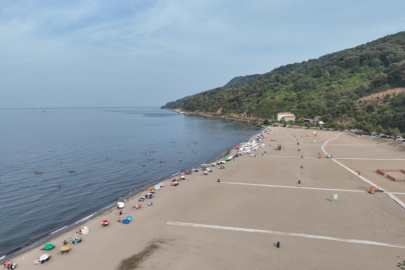 Bursa sahillerinden sevindiren haber