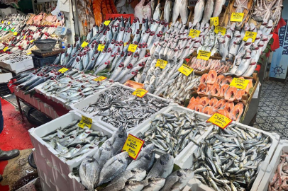 Balık tezgahlarında palamut yerini hamsi ve çinekop bıraktı