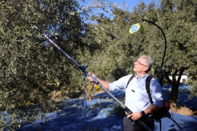 Mudanya Belediyesi zeytin üreticisinin yanında