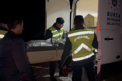 Bursa'da aranan 18 yaşındaki gencin cesedi ormanda yanmış halde bulundu