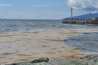 Anahtar Parti Bursa’dan müsilaj çağrısı
