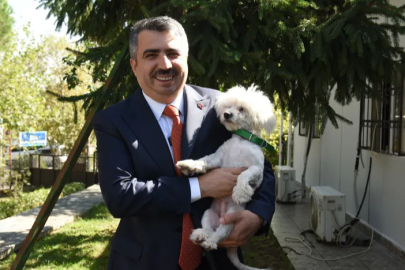 Sahiplenilen hayvanların 1 yıllık muayenesi Yıldırım'dan