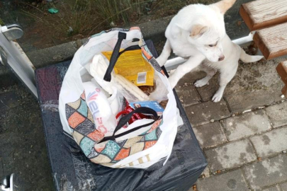 Yavru köpek soğukta "Sahiplenin" notuyla durağa bırakıldı