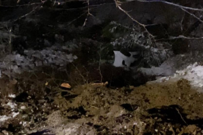 Bursa'da otomobil uçuruma yuvarlandı: 2'si ağır 5 yaralı