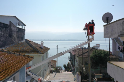 Yaren leylek ve komşularının yeni yuvaları hazır