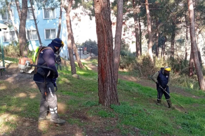 Gemlik'te yeşil seferberlik
