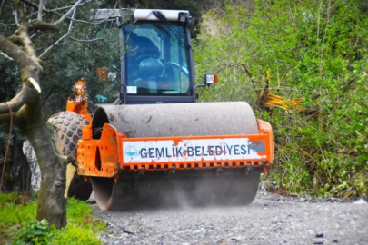 Gemlik'te Patili Canlar Yeni Yuvalarına Kavuşuyor