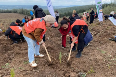 Bursa'da 10 bin fidan toprakla buluştu