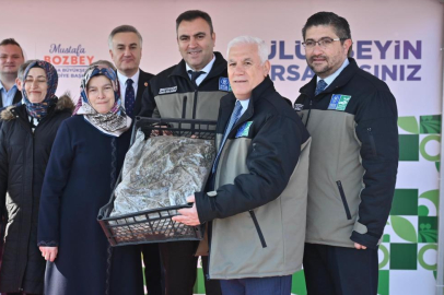 Bursa'da   çiftçiye 1 milyon 222 bin çilek fidesi hibe edildi