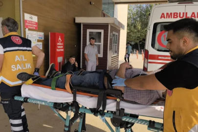 Bursa'da kahreden ölüm... 196 gün hayata tutunabildi
