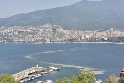 Gemlik'te korkutan manzara: Müsilaj yeniden görülmeye başladı