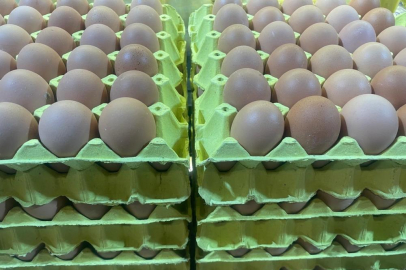 Yumurta fiyatları "mayıs çukuru" yaklaşınca düşüşe geçti