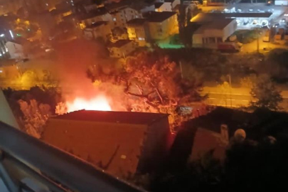 Bursa’da korkutan odunluk yangını