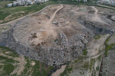 Osmangazi Belediyesi'nin köpek katliamına tepki
