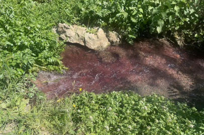 Gedelek Deresi'nin rengi değişti, uzmanlar ve çiftçiler tepkili
