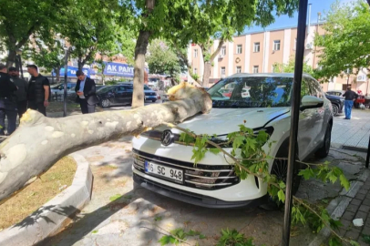 Bursa'da çınar ağacının kopan dalı lüks araca hasar verdi