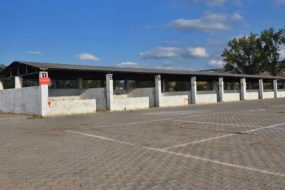 Bursa'nın Yenişehir ilçesinde şap karantinası