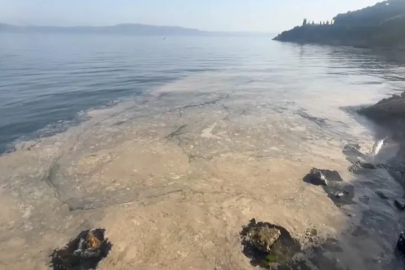 Gemlik Körfezi'nde müsilaj alarmı: Sahil kullanılamaz hale geldi