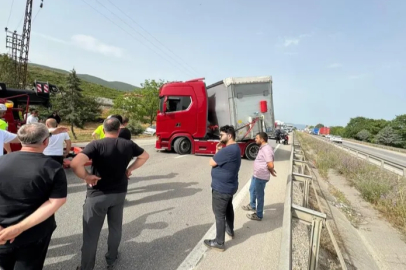 Bir arının yaptığına bak...Yüzlerce kişiyi mağdur etti